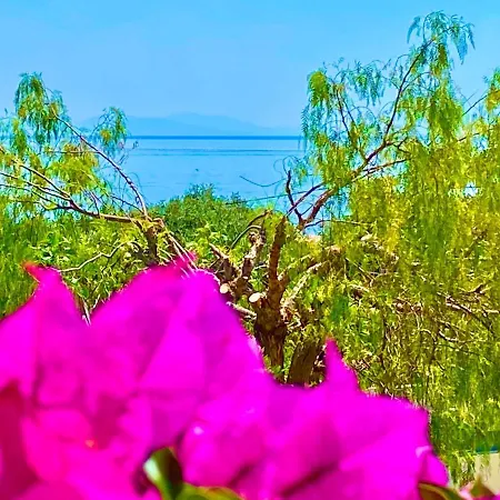 Pelagos With Private Pool Villa